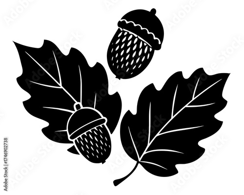 Acorns and oak leaves, fall season element pack silhouette vector illustration