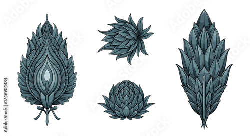 Ornamental Botanical Collection in Detailed Artistic Illustration on White Background