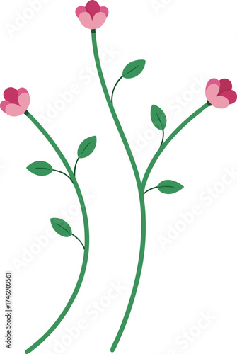 a pair of small wildflowers intertwined by their s