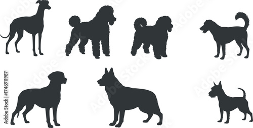 Silhouettes of seven dog breeds, black vector illustration, pet animal shapes, canine diversity, breed identification, isolated graphic for stock design