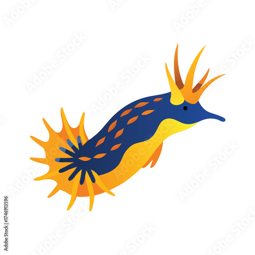 nudibranch-sea-slug