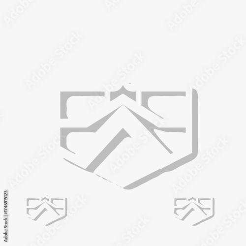Abstract geometric mountain range logo design in a shield shape, with variations at the bottom.