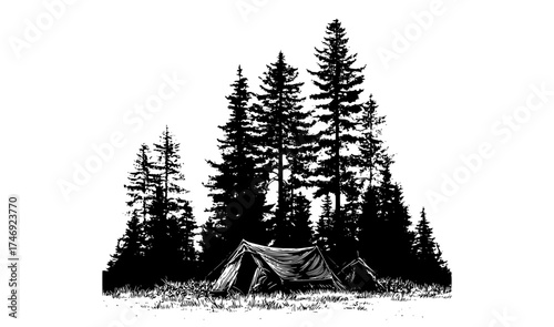 a tent set in a forest with tall pine treesblack, camp, camping, campsite, canopy, forest, pine, pine forest, tent, tree, white, wood 