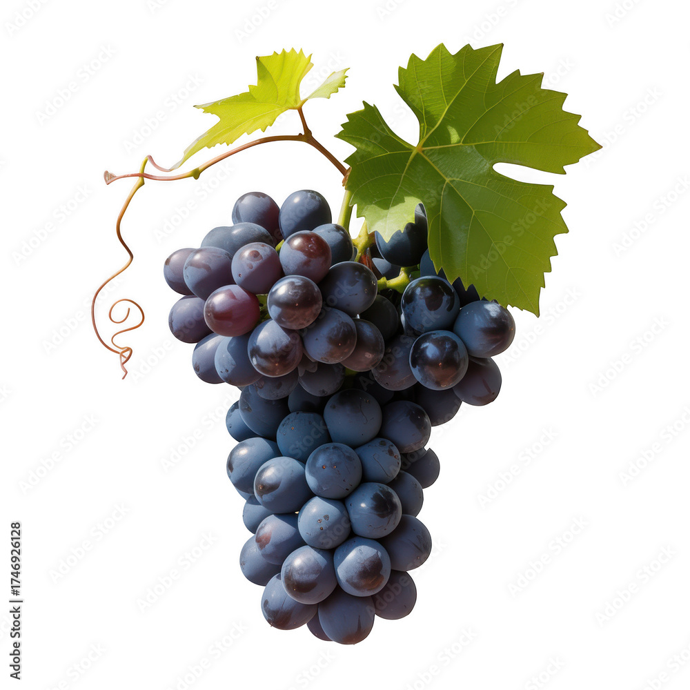 Fototapeta premium Fresh grapes with leaves isolated on transparent background