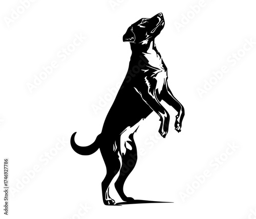 a black and white silhouette of a dog standing on its hind legsblack, dog, illustration, jump, paw, profile, stand 