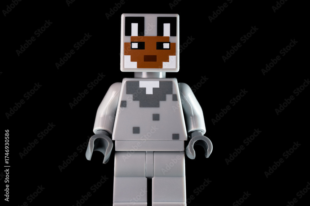 Obraz premium LEGO Minecraft character with rabbit face mask