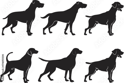 Explore stunning dog silhouettes vector art for graphic design projects featuring various canine poses and breeds
