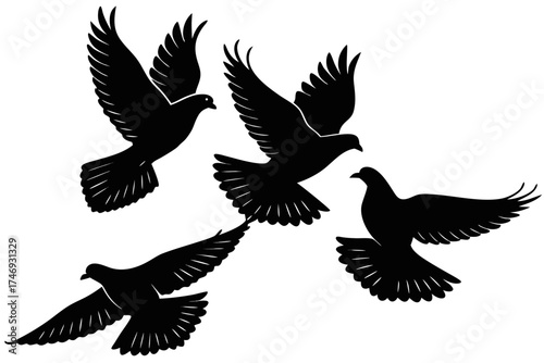 Flying doves vector illustration, black and white birds, peace symbol, avian silhouette, dove drawing image