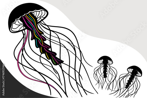 Vector illustration of jellyfish with colorful tentacles ocean sea life marine biology aquatic animal drawing silhouette