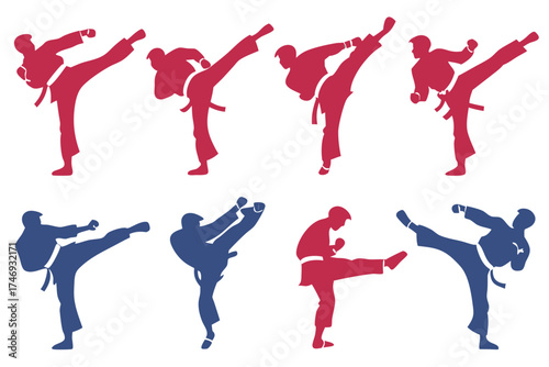 Martial arts taekwondo kick silhouette vector illustration training sport exercise combat defense technique
