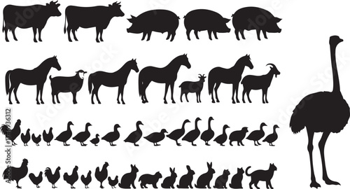 Collection of diverse farm animal silhouettes including cows horses goats pigs chickens ducks and ostrich vector