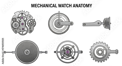 Detailed Mechanical Watch Anatomy Diagram Showing Various Internal Components
