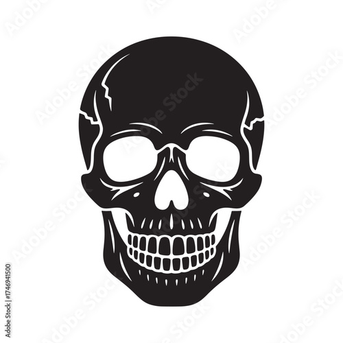 A stark black silhouette of a human skull with detailed bone structure and empty eye sockets against a white background