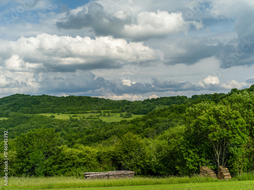 Spring rural landscape with forest and stacked wood. Beautiful blue sky with white clouds. Sunny day. Horna Suca, Slovakia