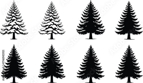 Conifer tree silhouette set with snow-covered and plain variations for seasonal, botanical, winter-themed, and nature vector illustration design