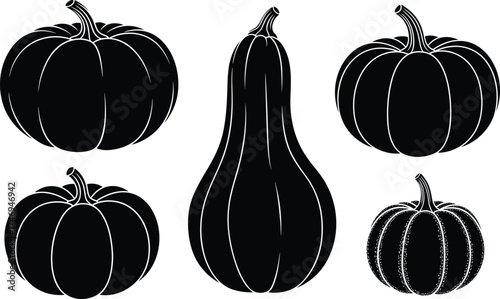 Pumpkin and gourd silhouette set featuring diverse harvest shapes for autumn, agriculture, seasonal decor, and vector illustration design