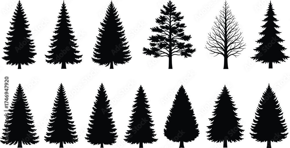 Obraz premium Tree silhouette collection featuring coniferous and leafless varieties for botanical, seasonal, forestry, and nature-themed vector illustration design