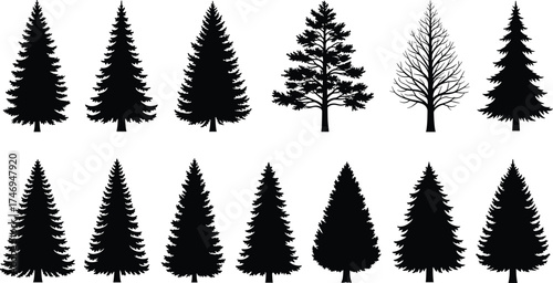 Tree silhouette collection featuring coniferous and leafless varieties for botanical, seasonal, forestry, and nature-themed vector illustration design