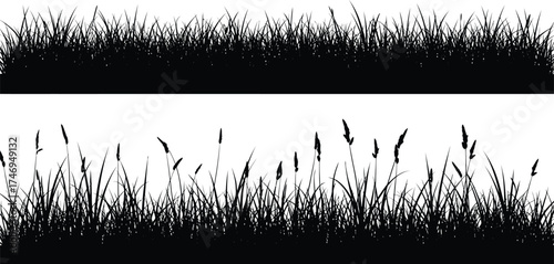 Grass Silhouette Design, Meadow, Tall Grass, Grassland, Garden, Lawn on White