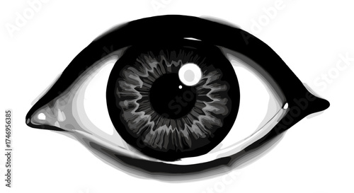 Monochrome Realistic Illustration of a Single Human Eye.