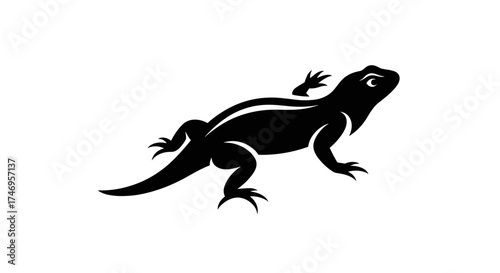 Silhouette of a Lizard on a White Background.