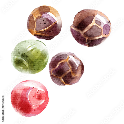Watercolor hand drawn sketch spice black pappers. Painted illustration for recipe cook book⁠
