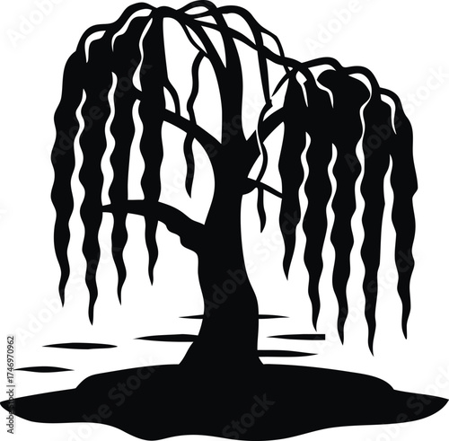 Beautiful willow tree beside a tranquil lake with elegant drooping branches isolated on white background isolated on transparent background