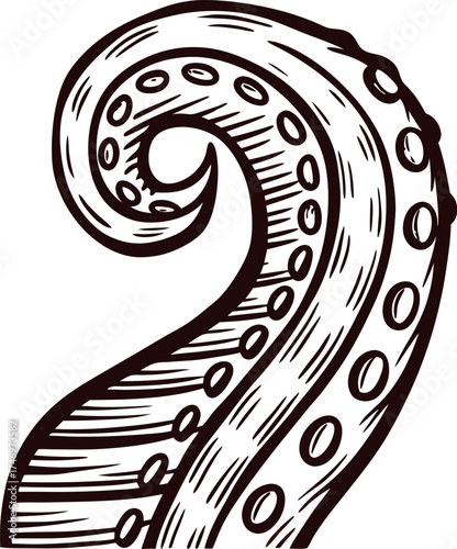 Hand drawn octopus tentacle illustration in vintage with detailed suction cups and curved shape