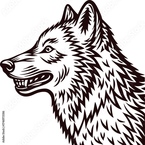 Hand drawn engraved wolf head illustration fierce wild animal profile in vintage retro tattoo art