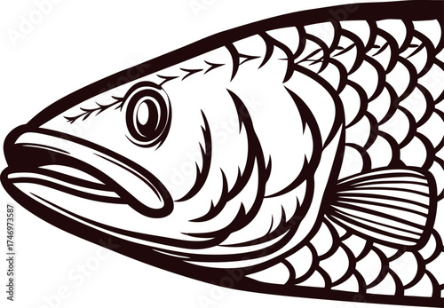 Detailed black and white illustration of fish head and upper body with prominent scales and bold line art