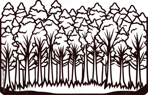 Detailed hand drawn dense forest landscape with tall trees and bushy foliage, black and white illustration
