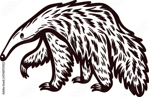 Hand drawn illustration of anteater with detailed fur vintage animal sketch design isolated on white