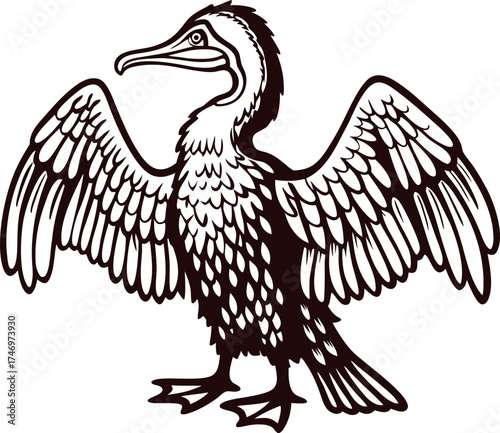 Detailed black and white illustration of a cormorant bird with spread wings drawn in vintage engraving