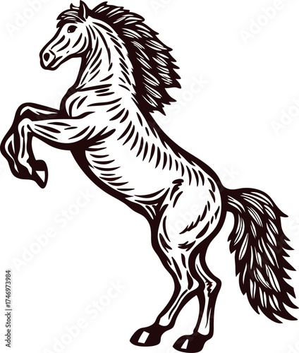 Detailed hand drawn illustration of a rearing horse isolated on white vintage engraved animal design art
