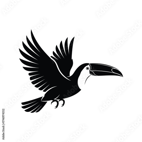 Silhouette toucan bird flying wings spread tropical exotic wildlife vector
