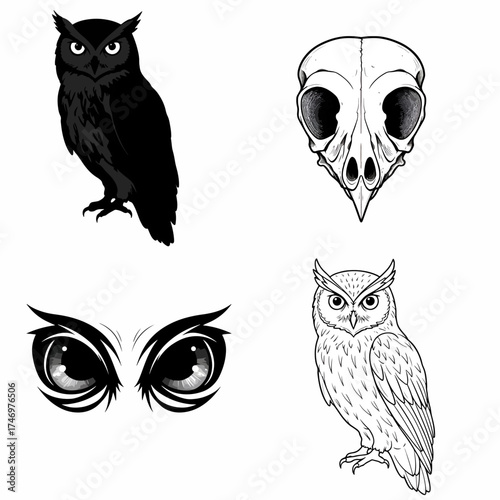 Mysterious owl imagery: Dark elegant bird, skull, intense eyes, and detailed line art for unique design projects, vector illustration, fantasy art