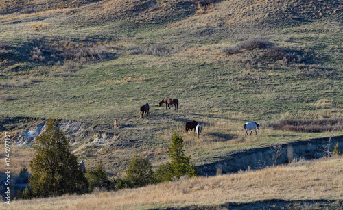 Landscape Arch is one of the major arches on the Devils Garden trail. Arches National Park in Moab