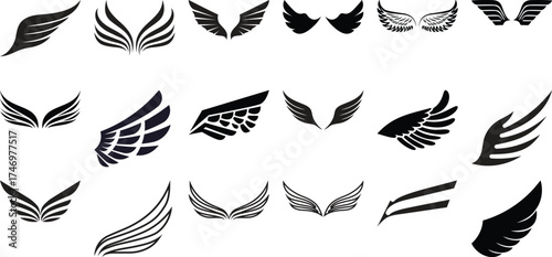 Collection of Diverse Black Wing Silhouettes and Icons