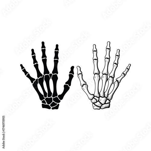 Two skeleton hands side by side black and white silhouette vector