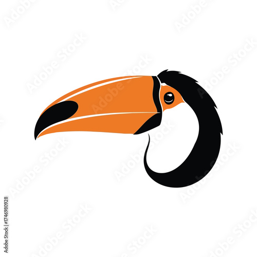 Vibrant toucan bird head side profile exotic tropical wildlife illustration vector