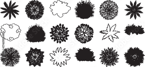 Top-Down Silhouettes and Outlines of Various Trees and Bushes