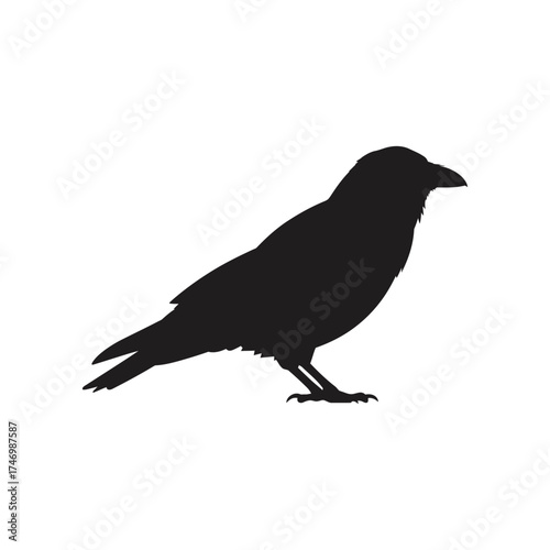 Silhouette of a black crow standing on its feet against a white background with its beak slightly open