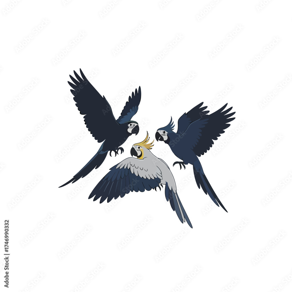 Fototapeta premium Three exotic parrots in flight with spread wings.