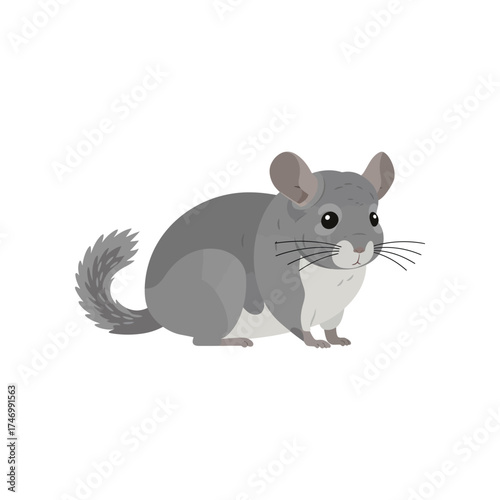 Adorable cartoon illustration of a fluffy grey chinchilla with large ears and a bushy tail sitting and looking forward