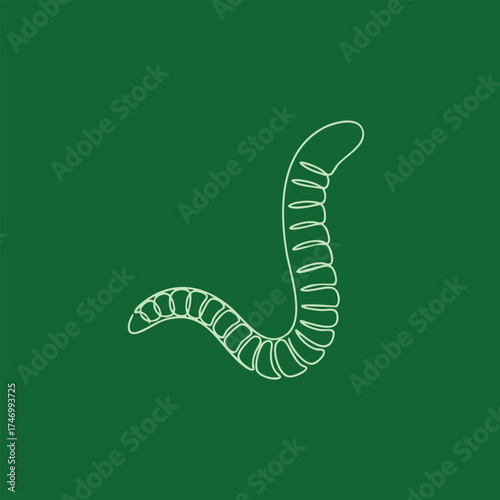 Minimalist line drawing of a segmented worm on a solid green emphasizing simplicity and elegance