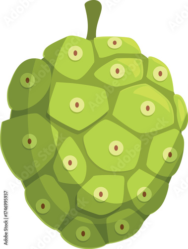 Noni fruit showcasing its distinctive bumpy green skin and multiple eyes, a tropical fruit known for its potential health benefits