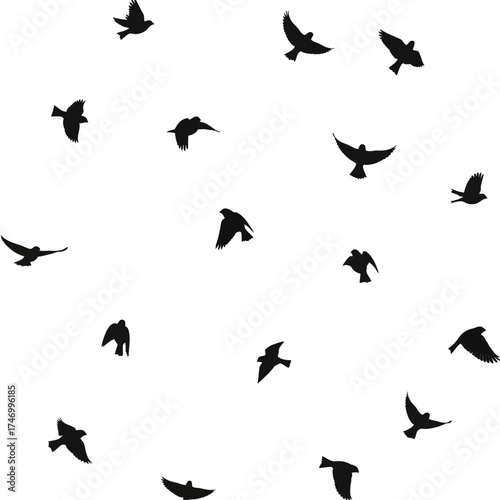 A flock of birds in flight against a white background.