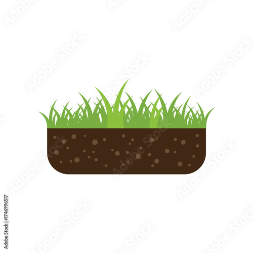 Cross section of fertile soil with green grass growing on top illustrating healthy plant roots in a natural ecosystem environment