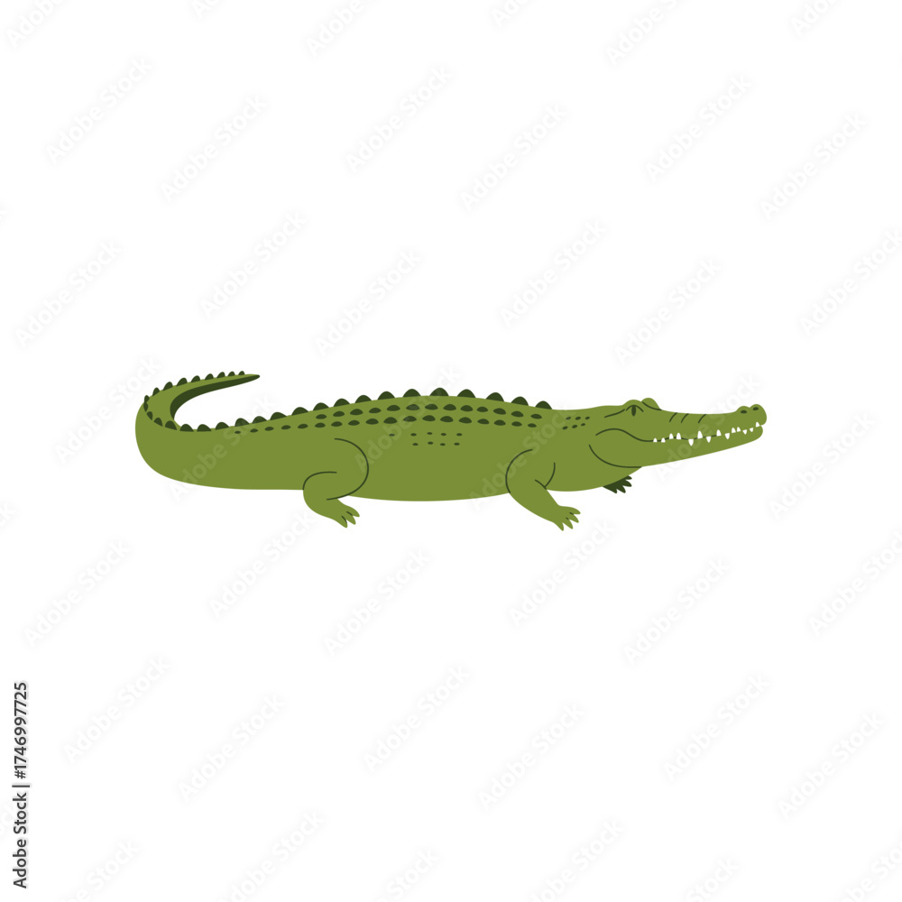 Obraz premium A simple cartoon illustration of a green alligator with its mouth open showing teeth and its body textured with scales against a white background
