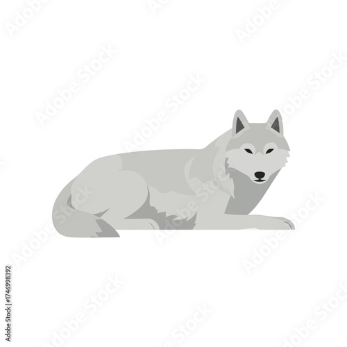 A minimalist illustration of a light gray wolf lying down with its head up looking forward on a white background
